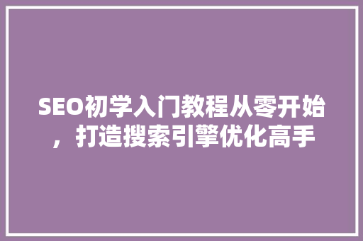 SEO初学入门教程从零开始，打造搜索引擎优化高手