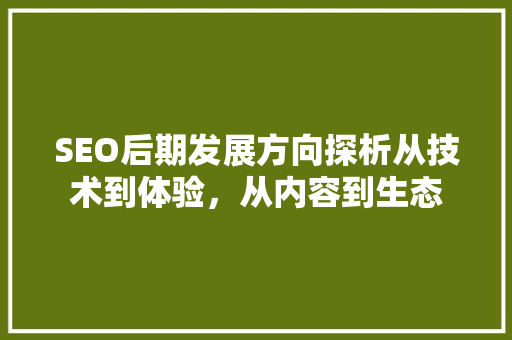 SEO后期发展方向探析从技术到体验，从内容到生态
