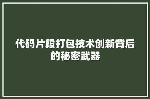 代码片段打包技术创新背后的秘密武器