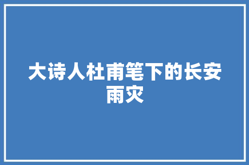 SEO学习壁纸电脑全屏布局的艺术与方法