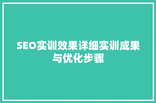 SEO实训效果详细实训成果与优化步骤