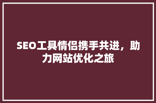 SEO工具情侣携手共进，助力网站优化之旅