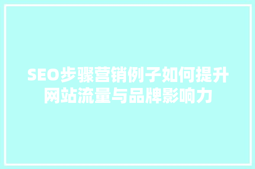 SEO步骤营销例子如何提升网站流量与品牌影响力  第1张