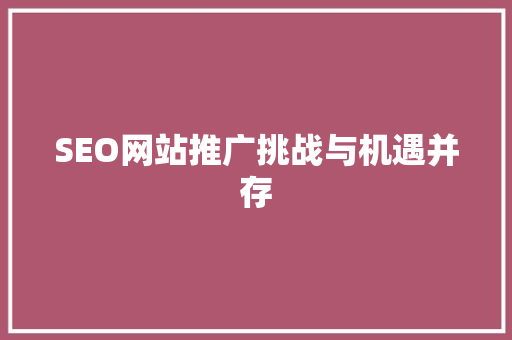 SEO网站推广挑战与机遇并存
