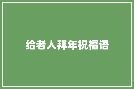 Flash技术如何巧妙插入代码，实现动态交互体验