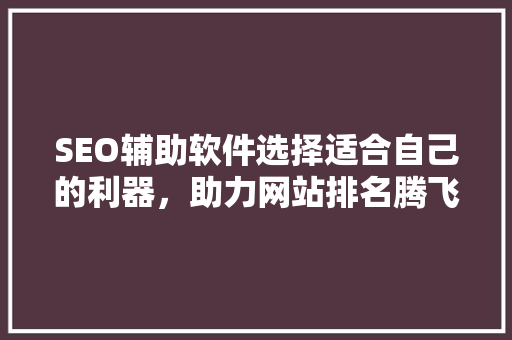 SEO辅助软件选择适合自己的利器，助力网站排名腾飞