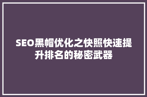 SEO黑帽优化之快照快速提升排名的秘密武器