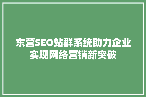 东营SEO站群系统助力企业实现网络营销新突破