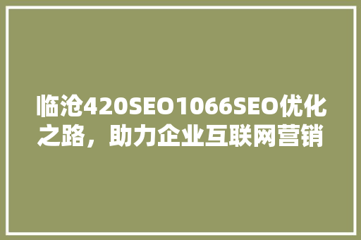 临沧420SEO1066SEO优化之路，助力企业互联网营销