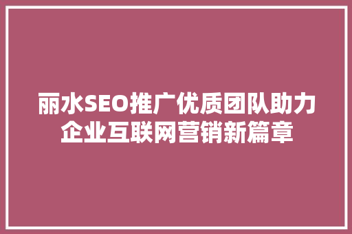 丽水SEO推广优质团队助力企业互联网营销新篇章