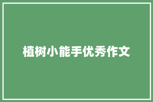 H5代码框创新与变革的数字引擎