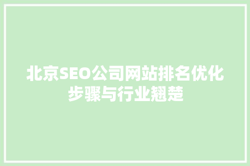 北京SEO公司网站排名优化步骤与行业翘楚