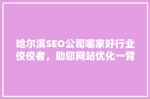 哈尔滨SEO公司哪家好行业佼佼者，助您网站优化一臂之力