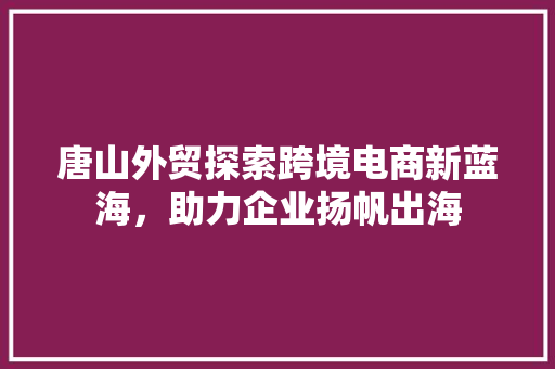 唐山外贸探索跨境电商新蓝海，助力企业扬帆出海