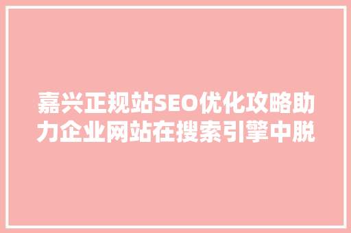 嘉兴正规站SEO优化攻略助力企业网站在搜索引擎中脱颖而出