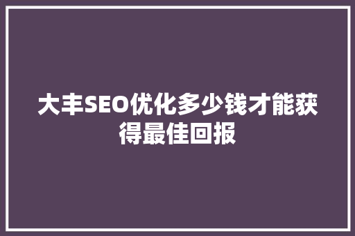大丰SEO优化多少钱才能获得最佳回报