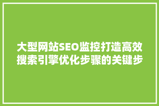 大型网站SEO监控打造高效搜索引擎优化步骤的关键步骤