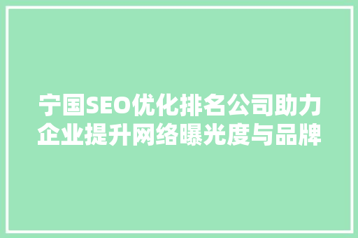 宁国SEO优化排名公司助力企业提升网络曝光度与品牌影响力
