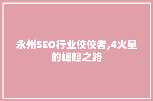永州SEO行业佼佼者,4火星的崛起之路