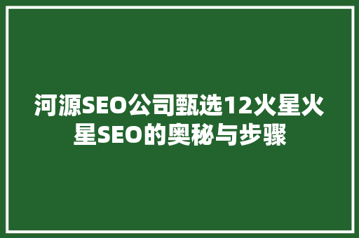 河源SEO公司甄选12火星火星SEO的奥秘与步骤