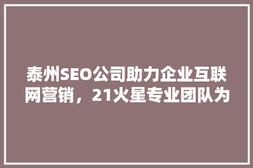 泰州SEO公司助力企业互联网营销，21火星专业团队为您量身定制