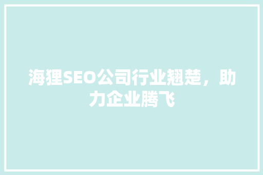 海狸SEO公司行业翘楚，助力企业腾飞