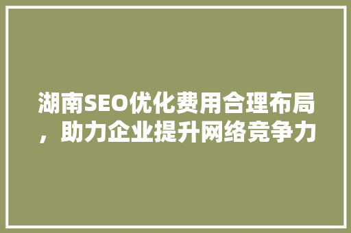 湖南SEO优化费用合理布局，助力企业提升网络竞争力