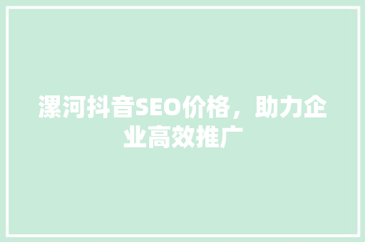 漯河抖音SEO价格，助力企业高效推广