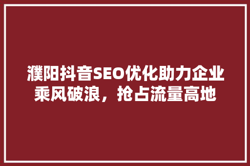 濮阳抖音SEO优化助力企业乘风破浪，抢占流量高地