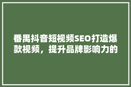 番禺抖音短视频SEO打造爆款视频，提升品牌影响力的方法