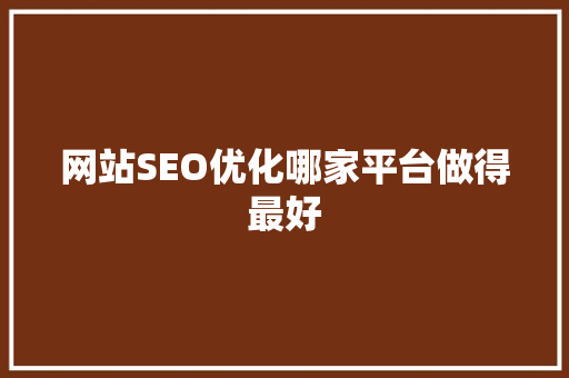 网站SEO优化哪家平台做得最好