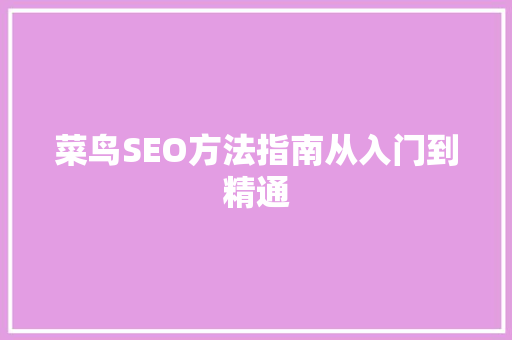 菜鸟SEO方法指南从入门到精通