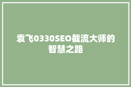 袁飞0330SEO截流大师的智慧之路