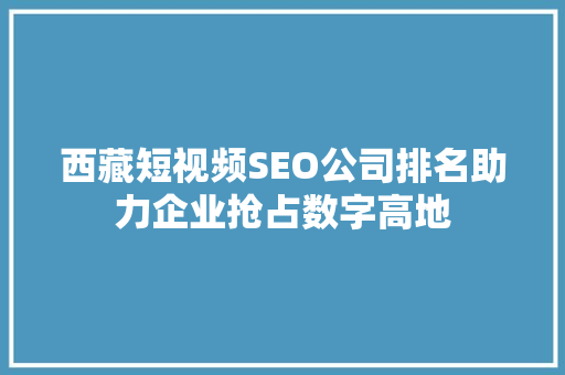 西藏短视频SEO公司排名助力企业抢占数字高地