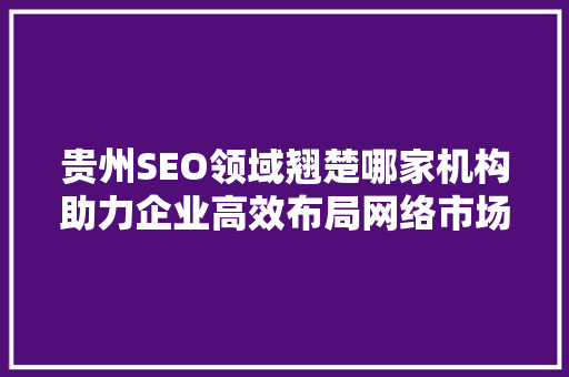 贵州SEO领域翘楚哪家机构助力企业高效布局网络市场