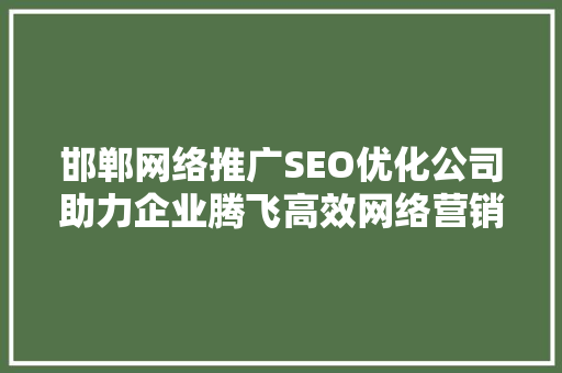 邯郸网络推广SEO优化公司助力企业腾飞高效网络营销步骤