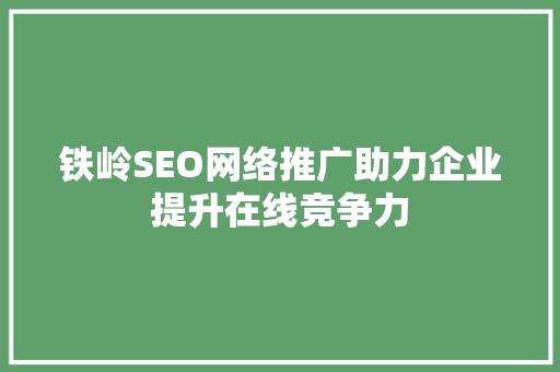 铁岭SEO网络推广助力企业提升在线竞争力