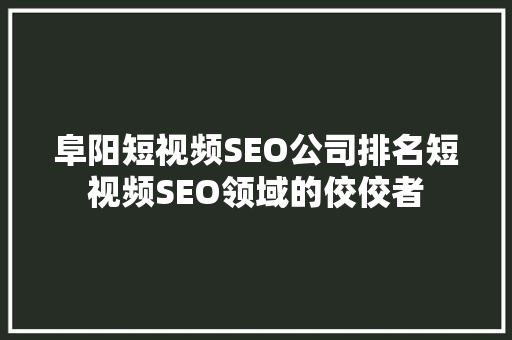 阜阳短视频SEO公司排名短视频SEO领域的佼佼者