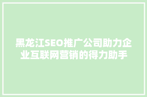 黑龙江SEO推广公司助力企业互联网营销的得力助手