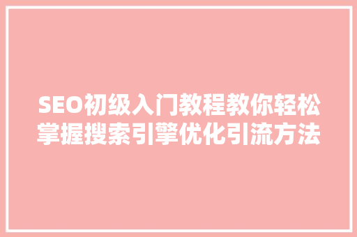 SEO初级入门教程教你轻松掌握搜索引擎优化引流方法