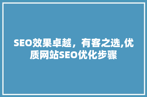 SEO效果卓越，有客之选,优质网站SEO优化步骤