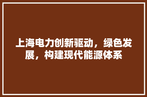 上海电力创新驱动，绿色发展，构建现代能源体系