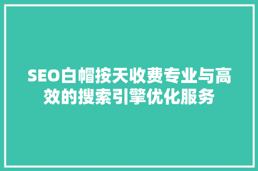 SEO白帽按天收费专业与高效的搜索引擎优化服务