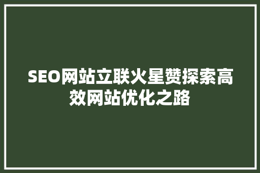 SEO网站立联火星赞探索高效网站优化之路