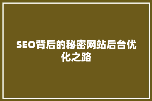 SEO背后的秘密网站后台优化之路