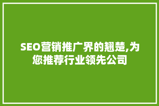 SEO营销推广界的翘楚,为您推荐行业领先公司  第1张