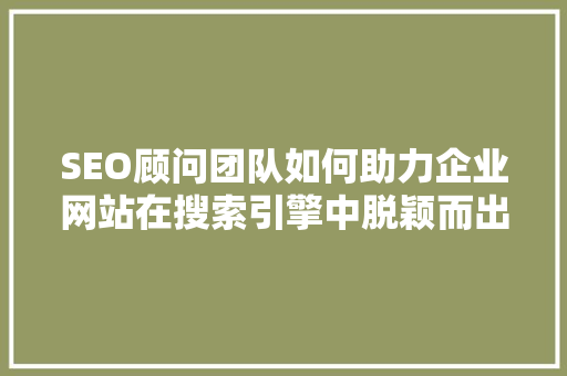 SEO顾问团队如何助力企业网站在搜索引擎中脱颖而出
