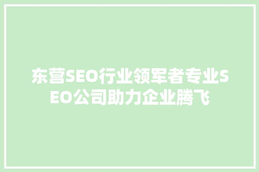 东营SEO行业领军者专业SEO公司助力企业腾飞