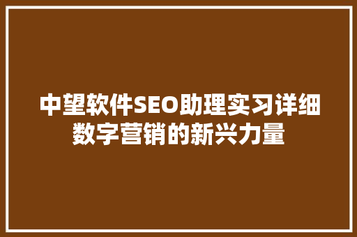 中望软件SEO助理实习详细数字营销的新兴力量