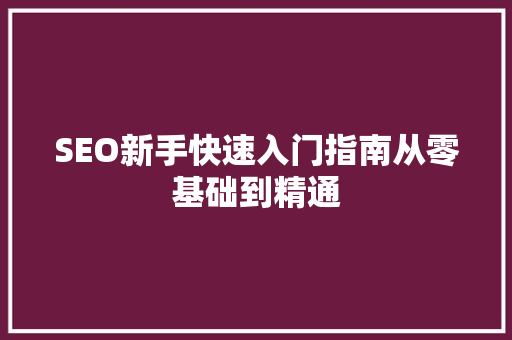 SEO新手快速入门指南从零基础到精通